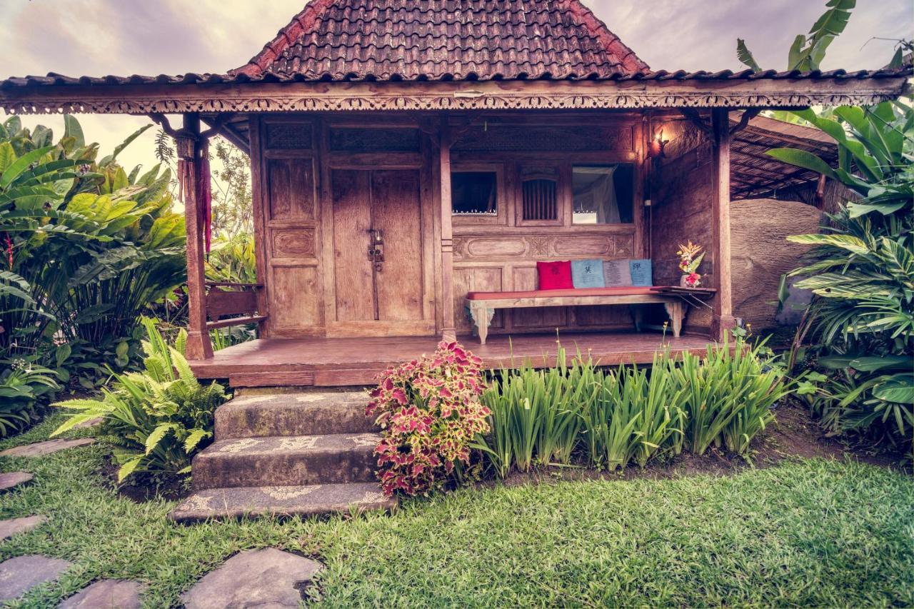 Dragonfly Village Ubud Exteriér fotografie