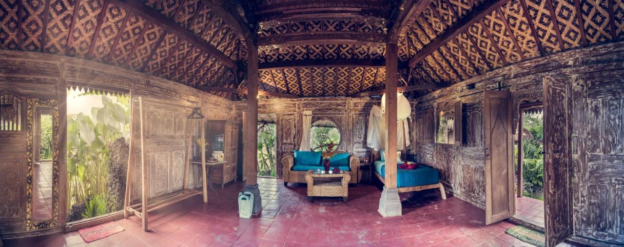 Dragonfly Village Ubud Exteriér fotografie