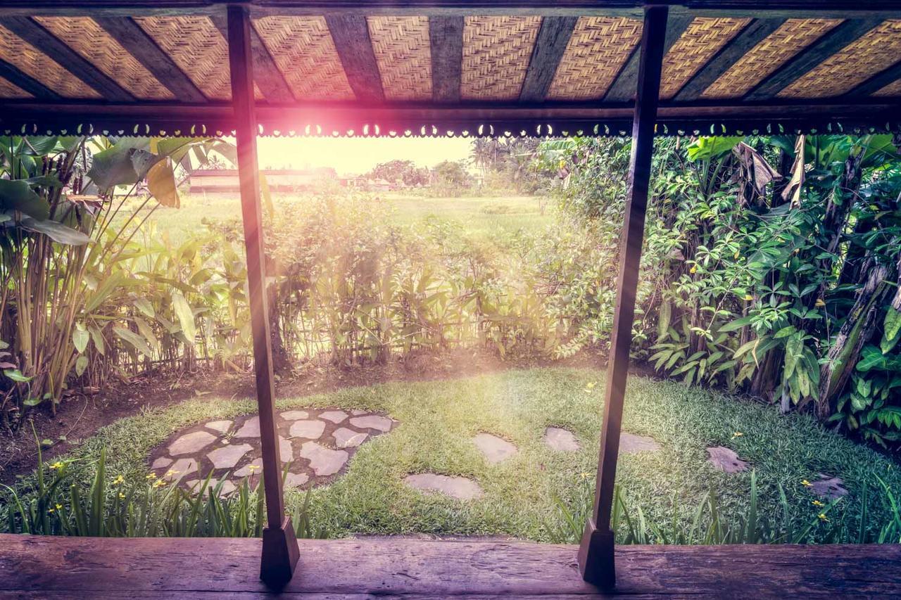 Dragonfly Village Ubud Exteriér fotografie