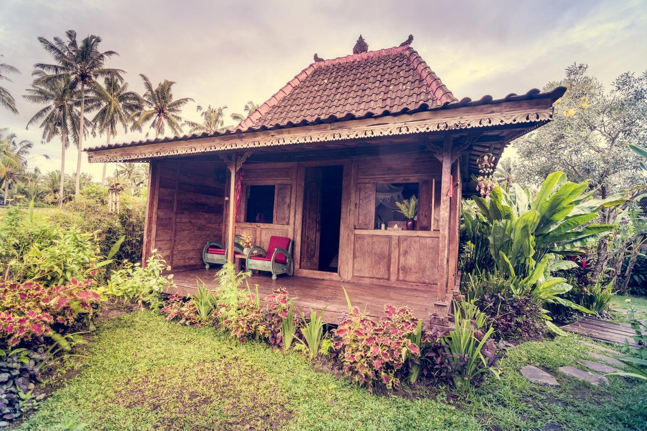 Dragonfly Village Ubud Exteriér fotografie