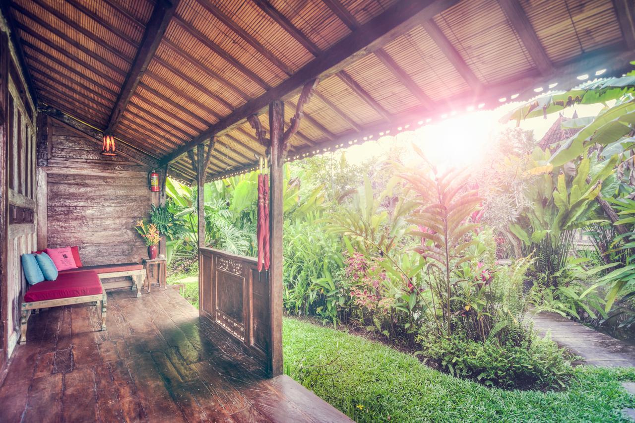 Dragonfly Village Ubud Exteriér fotografie