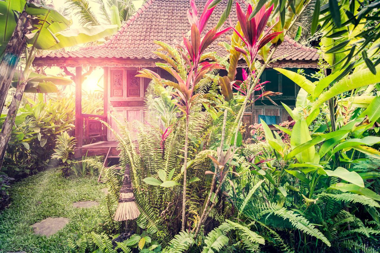 Dragonfly Village Ubud Exteriér fotografie