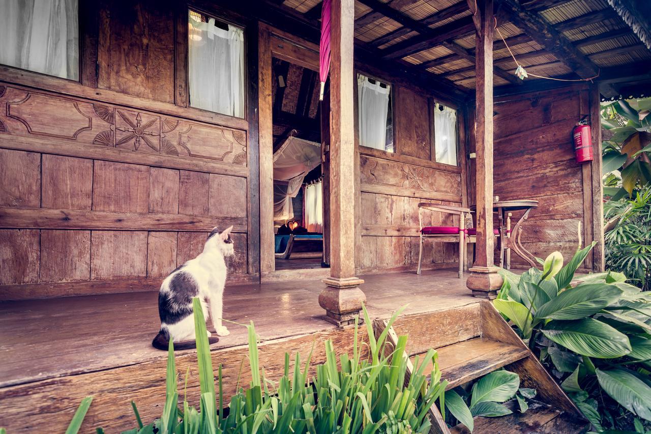 Dragonfly Village Ubud Exteriér fotografie