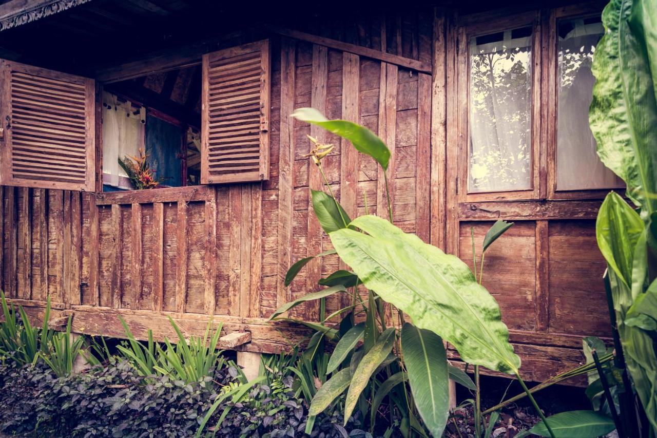 Dragonfly Village Ubud Exteriér fotografie