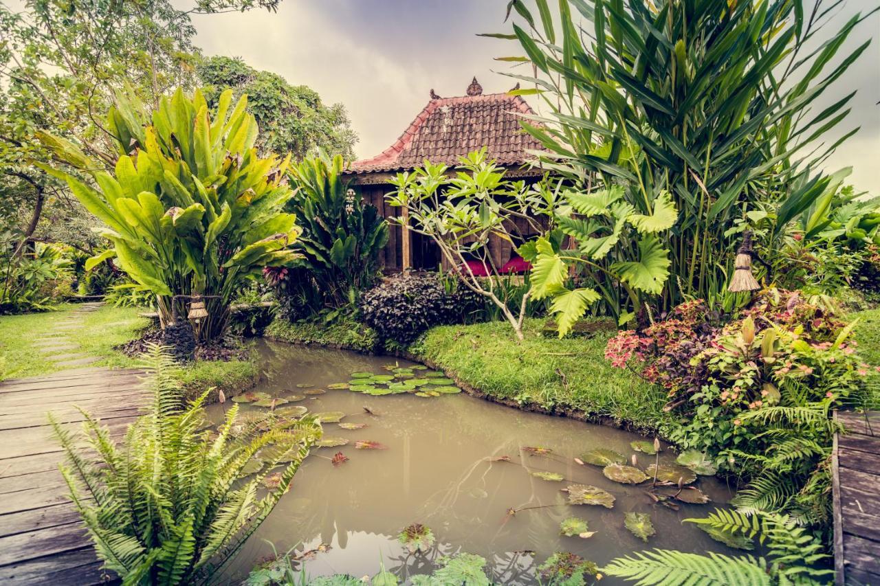 Dragonfly Village Ubud Exteriér fotografie
