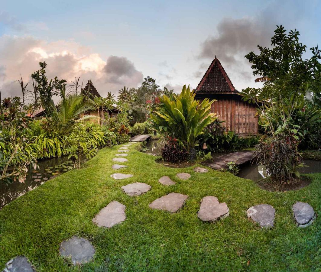 Dragonfly Village Ubud Exteriér fotografie